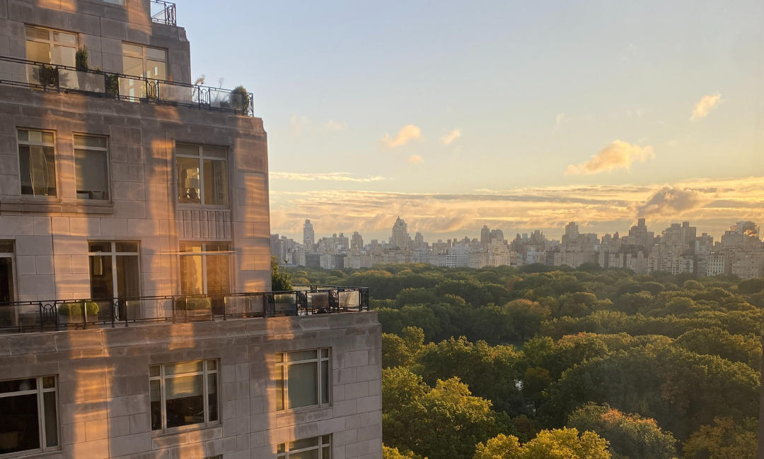 Central Park NYC