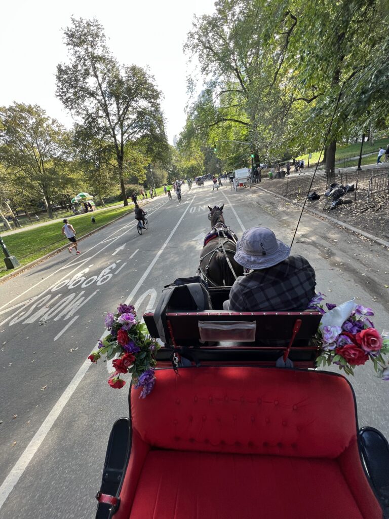 Central Park Carriage Ride